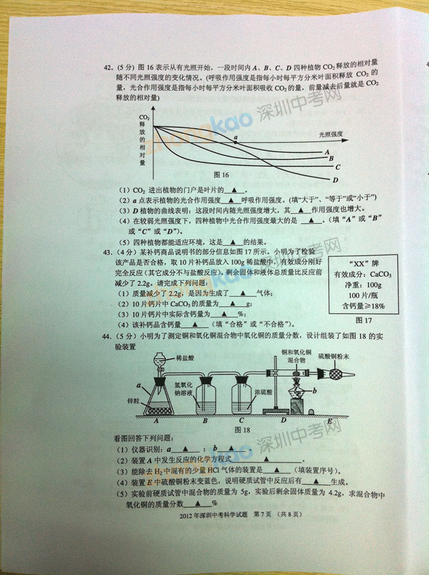 高考文综试卷格式_标准试卷格式_考试试卷格式