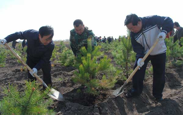 清明节的习俗:踏青、植树