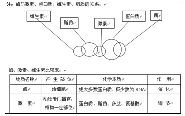 对照组