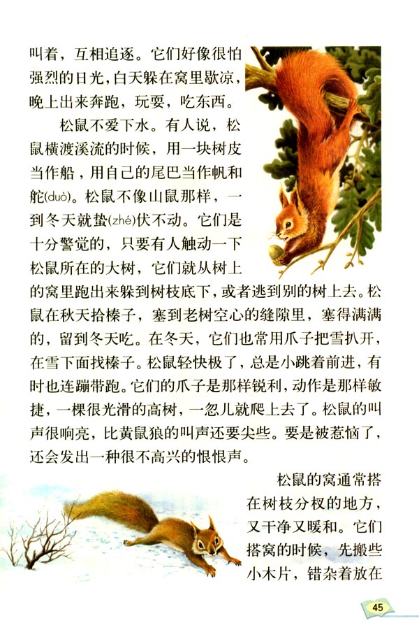 人教版五年级语文上册电子书——松鼠(2)