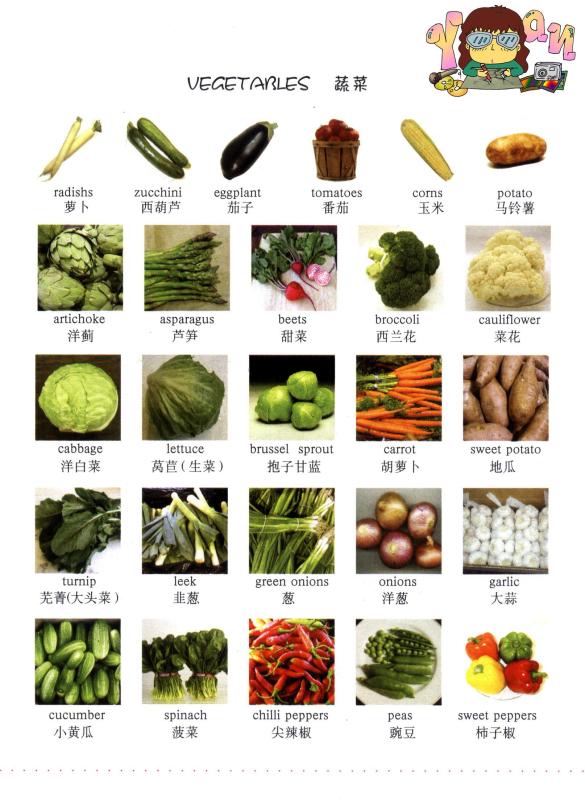 看萌图学英语之蔬菜篇