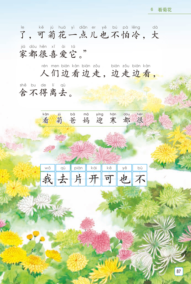 苏教版一年级语文上册课文——看菊花(2)